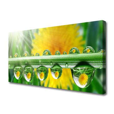 Print op doek Stem dew drops plant