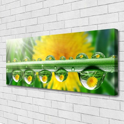 Print op doek Stem dew drops plant