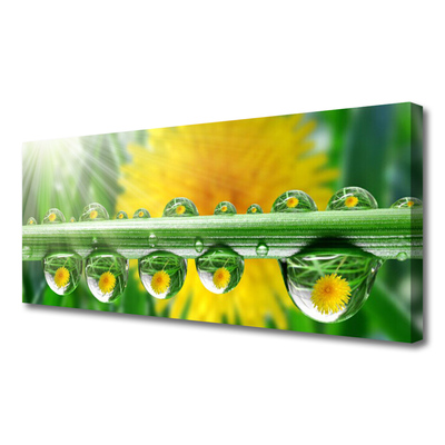 Print op doek Stem dew drops plant