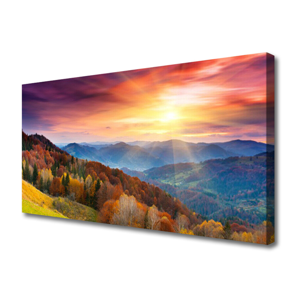 Print op doek The sun mountain forest landscape