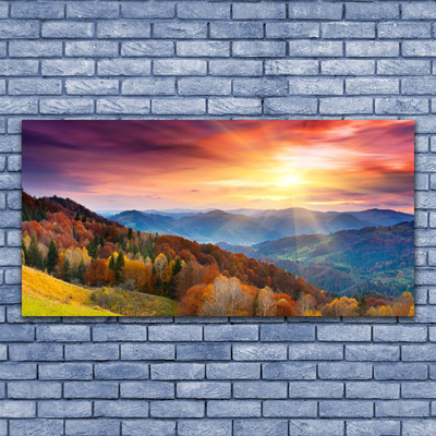 Print op doek The sun mountain forest landscape