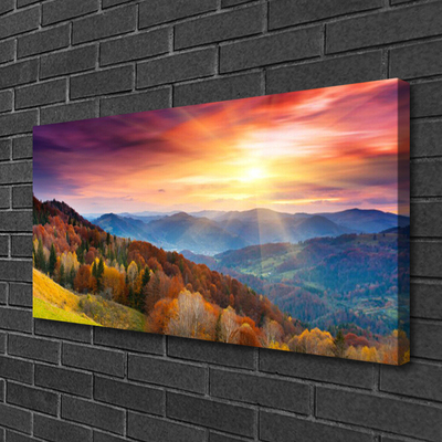 Print op doek The sun mountain forest landscape