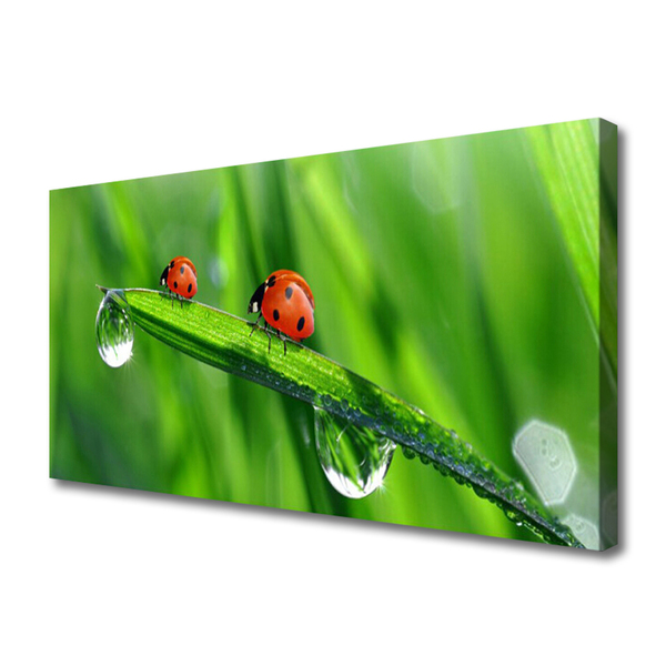 Print op doek Ladybug grass drops