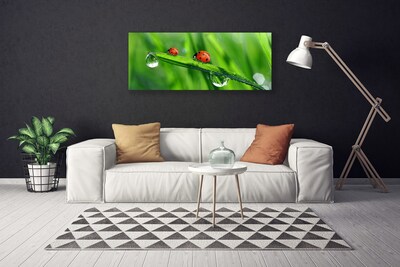 Print op doek Ladybug grass drops