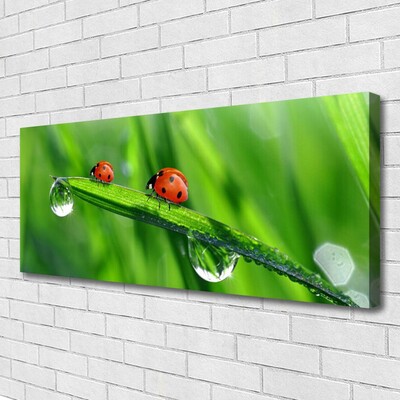 Print op doek Ladybug grass drops