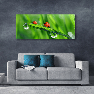 Print op doek Ladybug grass drops