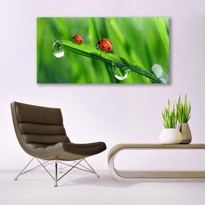 Print op doek Ladybug grass drops