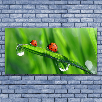 Print op doek Ladybug grass drops