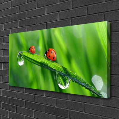 Print op doek Ladybug grass drops