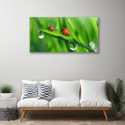 Print op doek Ladybug grass drops