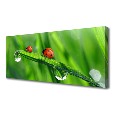 Print op doek Ladybug grass drops