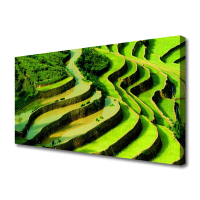 Print op doek Rice field forest nature