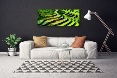 Print op doek Rice field forest nature