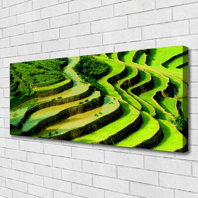 Print op doek Rice field forest nature