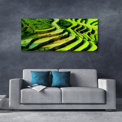 Print op doek Rice field forest nature