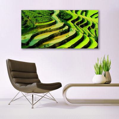 Print op doek Rice field forest nature