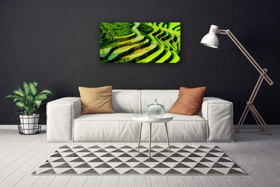 Print op doek Rice field forest nature