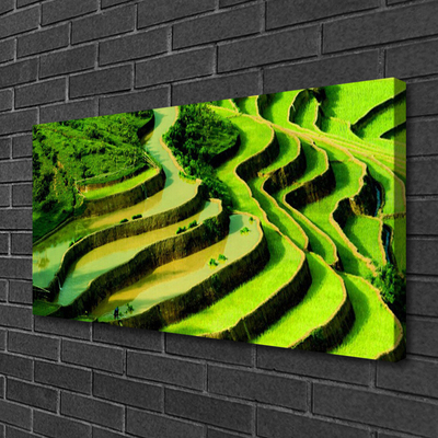 Print op doek Rice field forest nature