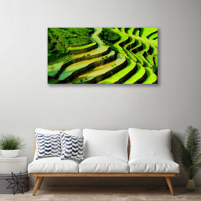 Print op doek Rice field forest nature