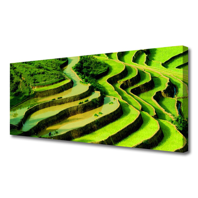 Print op doek Rice field forest nature