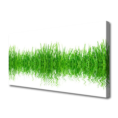 Print op doek Grass nature plant