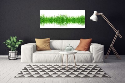 Print op doek Grass nature plant