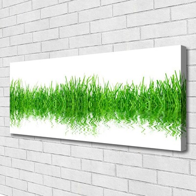 Print op doek Grass nature plant