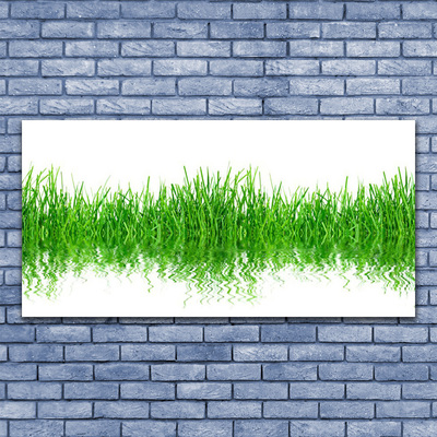 Print op doek Grass nature plant