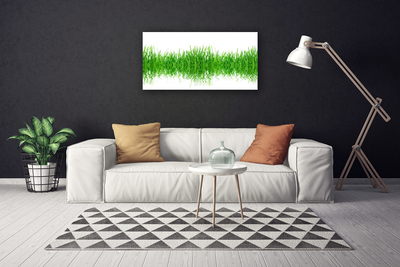 Print op doek Grass nature plant