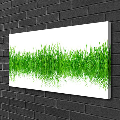 Print op doek Grass nature plant