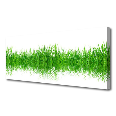 Print op doek Grass nature plant