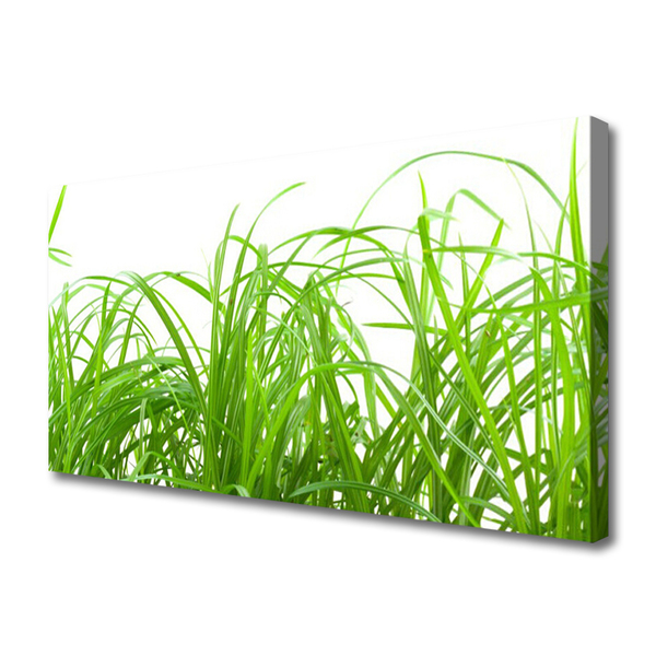 Print op doek Grass nature plant