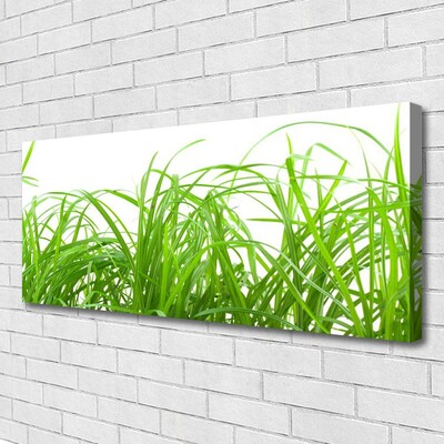 Print op doek Grass nature plant