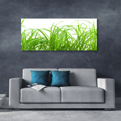 Print op doek Grass nature plant