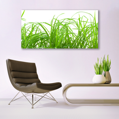 Print op doek Grass nature plant