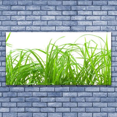 Print op doek Grass nature plant