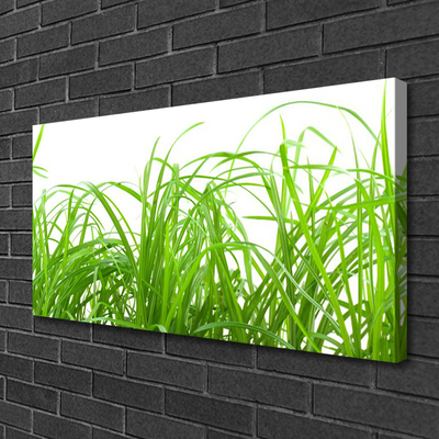 Print op doek Grass nature plant