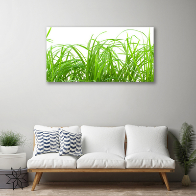 Print op doek Grass nature plant