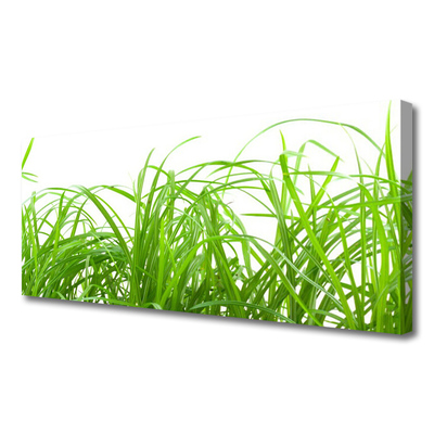 Print op doek Grass nature plant