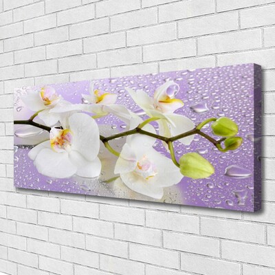 Print op doek Bloemen plant nature