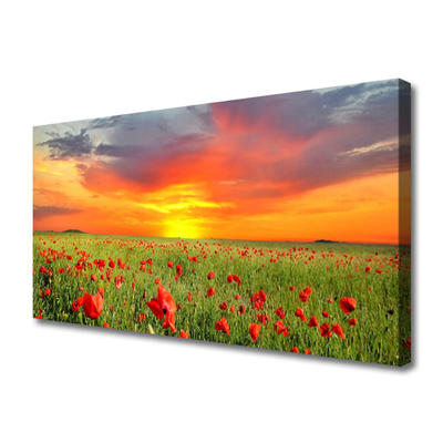 Print op doek Poppies nature plant zon