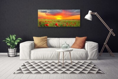 Print op doek Poppies nature plant zon