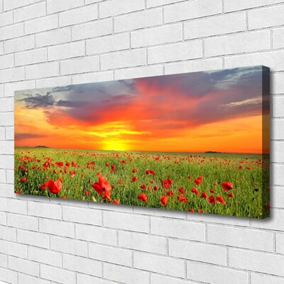 Print op doek Poppies nature plant zon