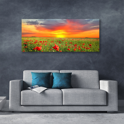 Print op doek Poppies nature plant zon