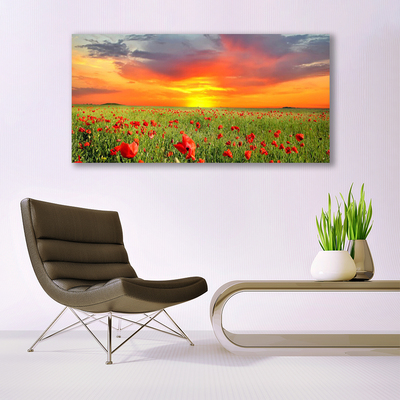 Print op doek Poppies nature plant zon