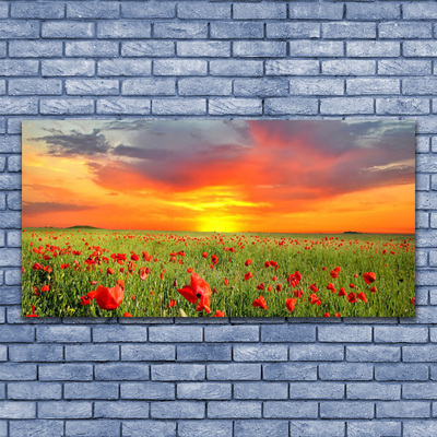 Print op doek Poppies nature plant zon