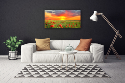 Print op doek Poppies nature plant zon