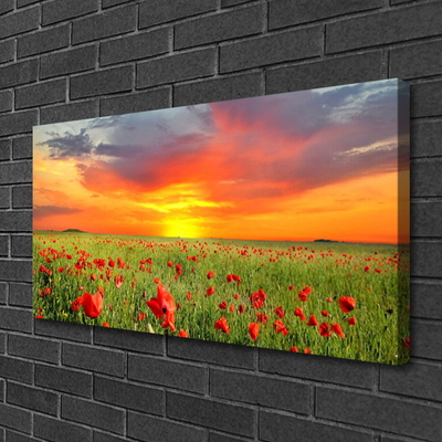 Print op doek Poppies nature plant zon