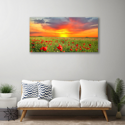 Print op doek Poppies nature plant zon