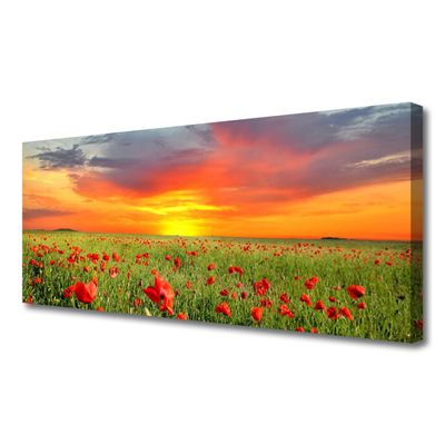 Print op doek Poppies nature plant zon